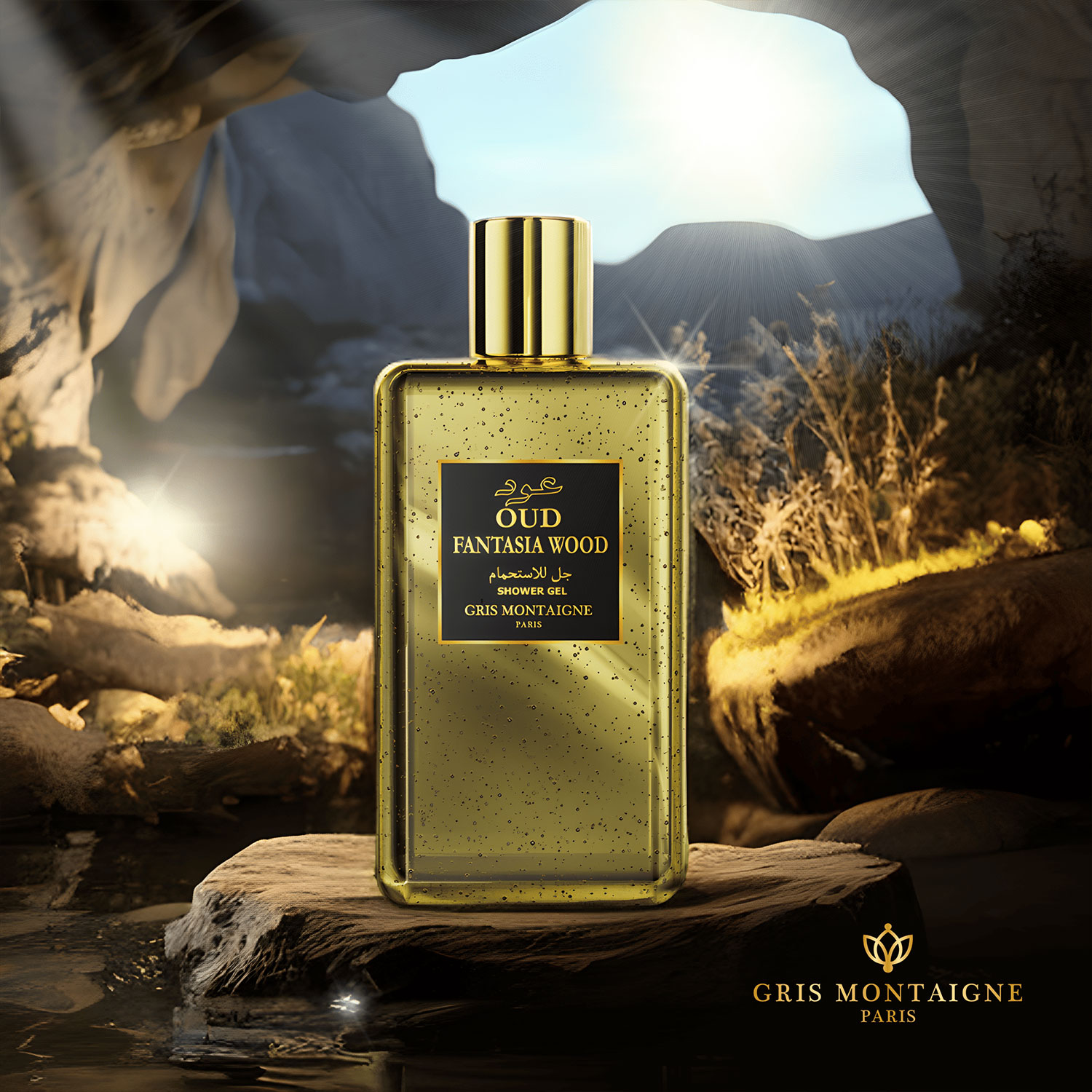 GEL DOUCHE FANTASTIC WOOD - Gris Montaigne Paris